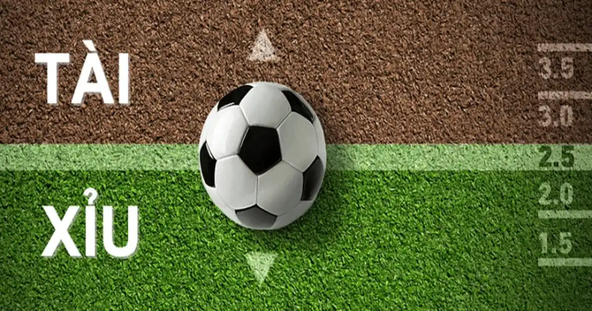 Chiến thuật chơi tài xỉu hiệu quả